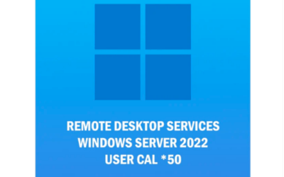 Windows Server 2022 Remote Desktop Services user (50) CAL