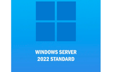 Licencia Microsoft Windows Server 2022 Standard